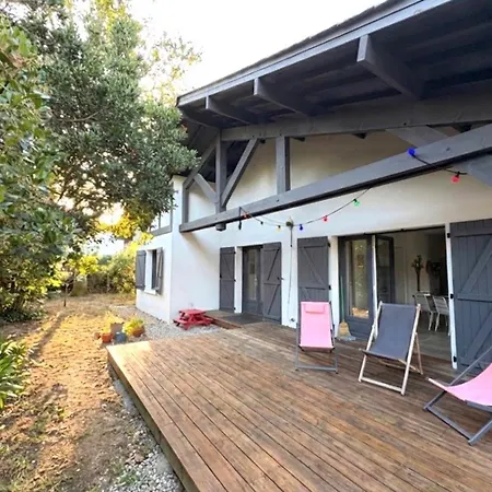 Moderne A Grand-piquey Proche Du Bassin D'arcachon, Capacite 7 Personnes - Fr-1-736-71 Vila