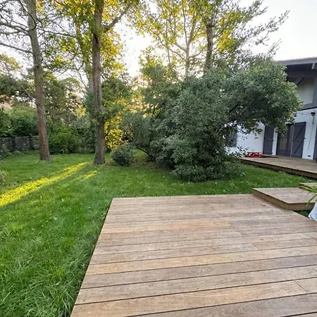 Vila Moderne A Grand-piquey Proche Du Bassin D'arcachon, Capacite 7 Personnes - Fr-1-736-71 Lège-Cap-Ferret