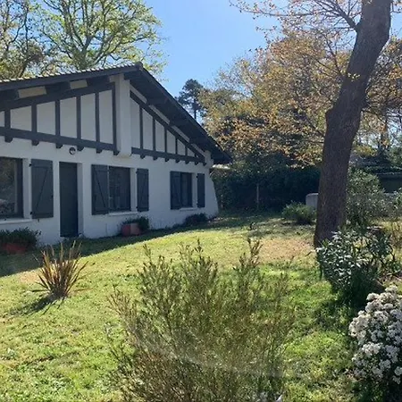 Moderne A Grand-piquey Proche Du Bassin D'arcachon, Capacite 7 Personnes - Fr-1-736-71 * Lege-Cap-Ferret