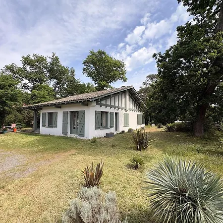 Moderne à Grand-piquey Proche Du Bassin D'arcachon, Capacité 7 Personnes - Fr-1-736-71 * Lège-Cap-Ferret